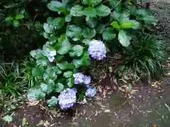 下野 星宮神社の自然