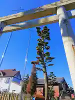 八幡社(平中八幡社)の自然