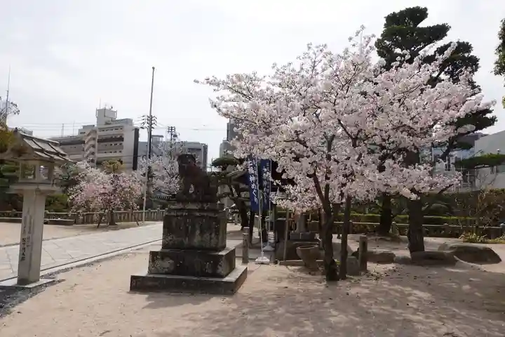 鶴羽根神社(広島県)