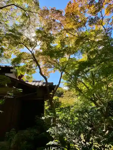 善法律寺のその他建物