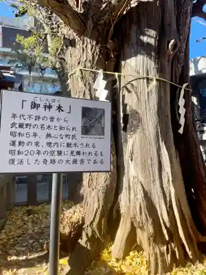 大鳥神社の{uncategorized: "未分類", other: "その他", undefined: "問題あり", building: "その他建物", grave: "お墓", sacred_gate: "鳥居", guardian: "狛犬", statue: "像", buddha: "仏像", history: "歴史", nature: "自然", garden: "庭園", animal: "動物", pagoda: "塔", temizu: "手水舎", mountain_gate: "山門・神門", sanctuary: "本殿・本堂", subordinate: "末社・摂社", art: "芸術", scenery: "景色", jizo: "地蔵", ema: "絵馬", goshuin: "御朱印", omikuji: "おみくじ", items: "授与品その他", amulet: "お守り", goshuincho: "御朱印帳", eats: "食事", festival: "お祭り", votive_dance: "神楽", shichigosan: "七五三参", wedding: "結婚式", experience: "体験その他", initially: "初詣", around: "周辺", anti_infection: "感染症対策"}