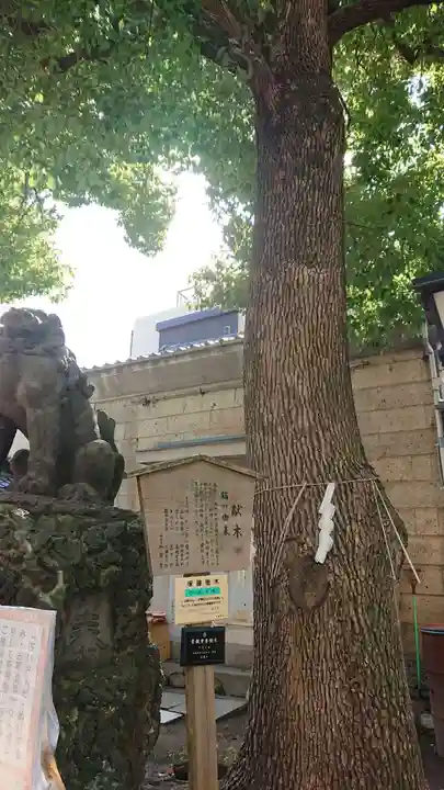 三島神社の自然