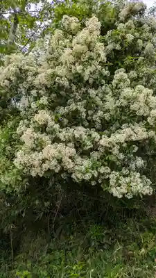 愛宕神社（阿多古神社）(京都府)