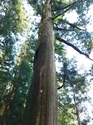 玉置神社(奈良県)