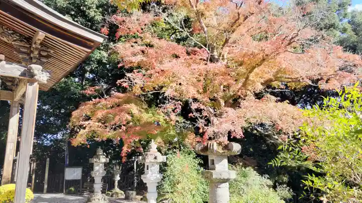 岩之上堂(埼玉県)