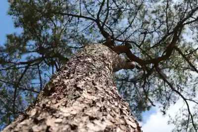 三津厳島神社(愛媛県)