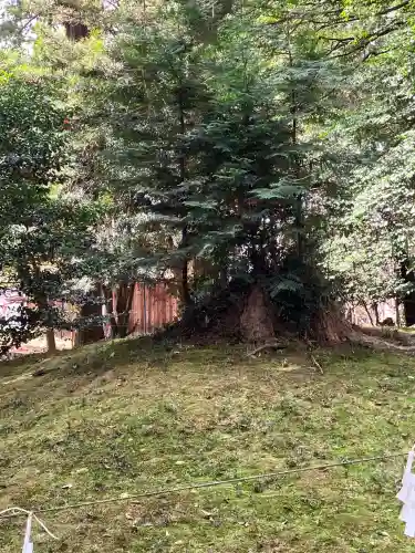 賀茂神社(滋賀県)