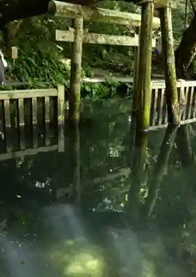 奥宮(鹿島神宮摂社)(茨城県)