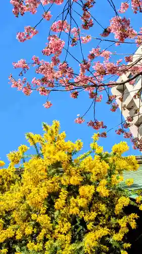 蔵前神社の景色