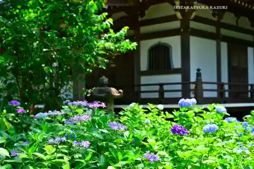 妙楽寺(神奈川県)