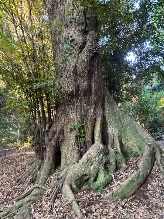 沼尾神社(茨城県)
