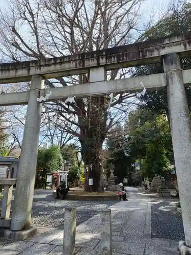 鳩森八幡神社の鳥居