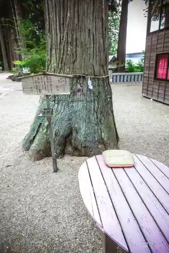 熊野神社(岩手県)