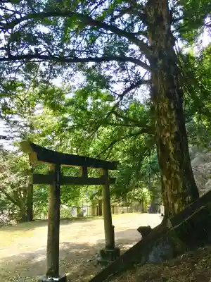 一護王社の{uncategorized: "未分類", other: "その他", undefined: "問題あり", building: "その他建物", grave: "お墓", sacred_gate: "鳥居", guardian: "狛犬", statue: "像", buddha: "仏像", history: "歴史", nature: "自然", garden: "庭園", animal: "動物", pagoda: "塔", temizu: "手水舎", mountain_gate: "山門・神門", sanctuary: "本殿・本堂", subordinate: "末社・摂社", art: "芸術", scenery: "景色", jizo: "地蔵", ema: "絵馬", goshuin: "御朱印", omikuji: "おみくじ", items: "授与品その他", amulet: "お守り", goshuincho: "御朱印帳", eats: "食事", festival: "お祭り", votive_dance: "神楽", shichigosan: "七五三参", wedding: "結婚式", experience: "体験その他", initially: "初詣", around: "周辺", anti_infection: "感染症対策"}
