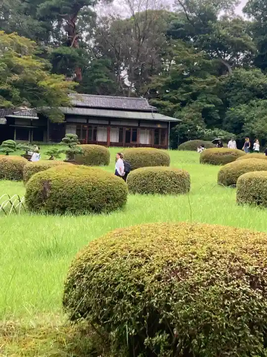 明治神宮(東京都)