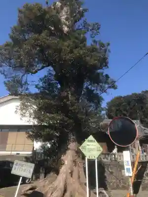 愛鷹神社（今泉）(静岡県)