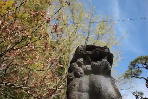 太平山三吉神社総本宮の狛犬