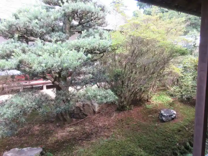 隨心院(随心院)(京都府)