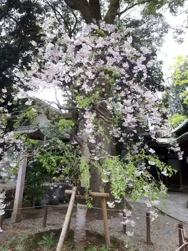 武蔵一宮氷川神社の庭園