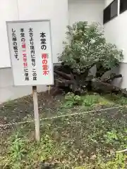 祇園山 徳城寺の歴史