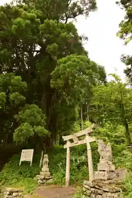 五所神社(徳島県)