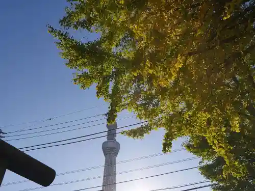 飛木稲荷神社の自然