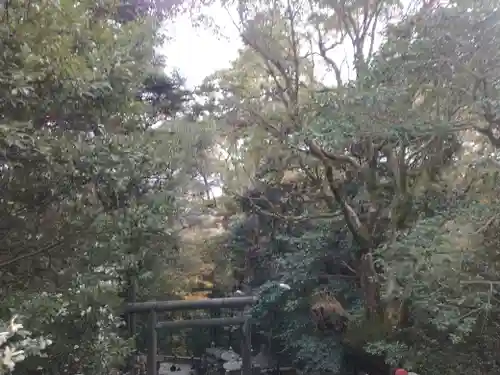 金刀比羅宮(香川県)