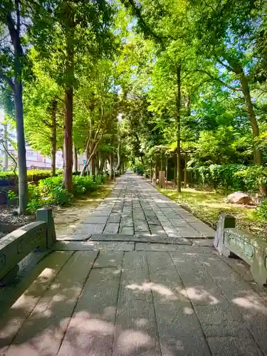 越ヶ谷久伊豆神社(埼玉県)