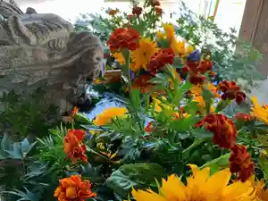 滑川神社 - 仕事と子どもの守り神の手水舎(2021年08月14日(土) 20時48分56秒投稿)