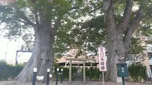 熊野神社の自然