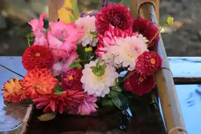 高司神社〜むすびの神の鎮まる社〜の手水舎