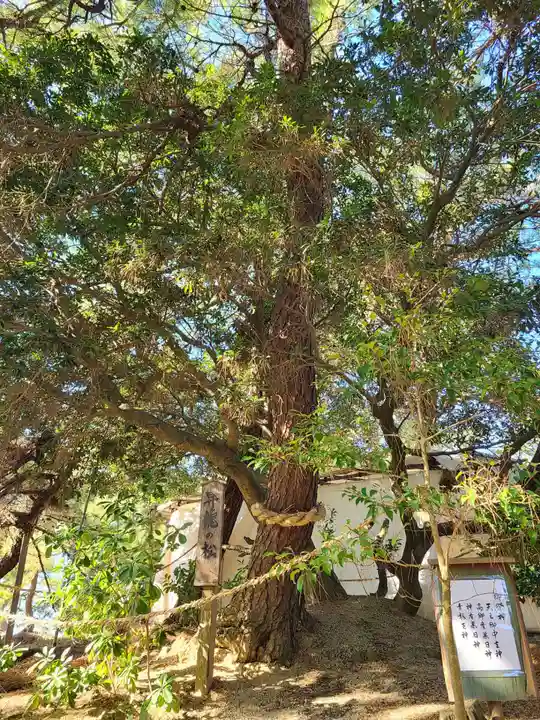 妙見神社(福岡県)