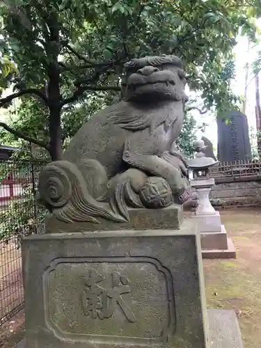 世田谷八幡宮の狛犬