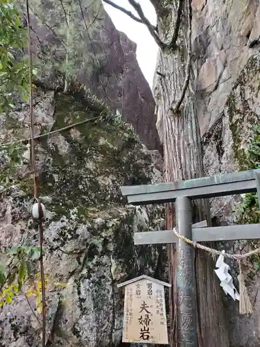 阿賀神社の自然