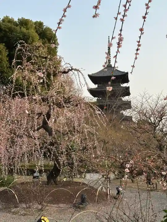 東寺(教王護国寺)(京都府)