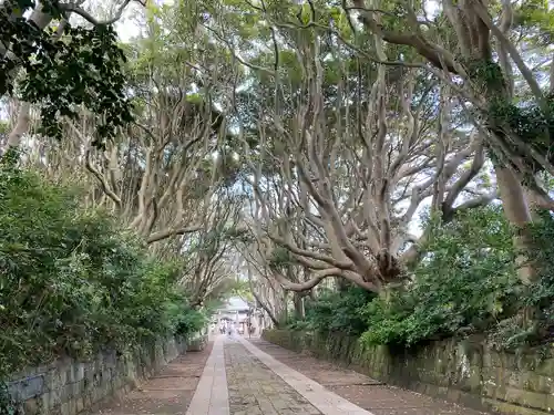 酒列磯前神社の景色