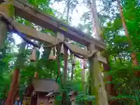 椿大神社の鳥居