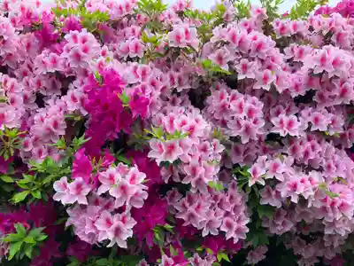 観福寺(愛知県)