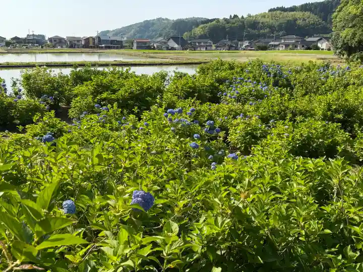 本興寺(石川県)