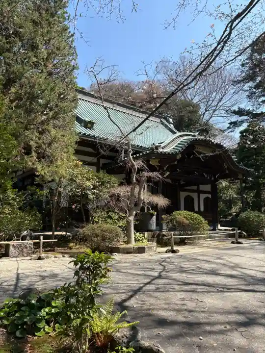 妙本寺の{uncategorized: "未分類", other: "その他", undefined: "問題あり", building: "その他建物", grave: "お墓", sacred_gate: "鳥居", guardian: "狛犬", statue: "像", buddha: "仏像", history: "歴史", nature: "自然", garden: "庭園", animal: "動物", pagoda: "塔", temizu: "手水舎", mountain_gate: "山門・神門", sanctuary: "本殿・本堂", subordinate: "末社・摂社", art: "芸術", scenery: "景色", jizo: "地蔵", ema: "絵馬", goshuin: "御朱印", omikuji: "おみくじ", items: "授与品その他", amulet: "お守り", goshuincho: "御朱印帳", eats: "食事", festival: "お祭り", votive_dance: "神楽", shichigosan: "七五三参", wedding: "結婚式", experience: "体験その他", initially: "初詣", around: "周辺", anti_infection: "感染症対策"}