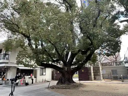 難波神社の自然