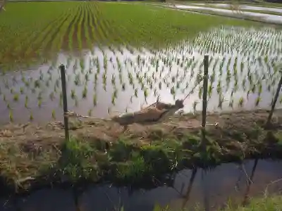 御船神社のその他建物