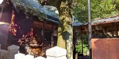 天道神社(京都府)