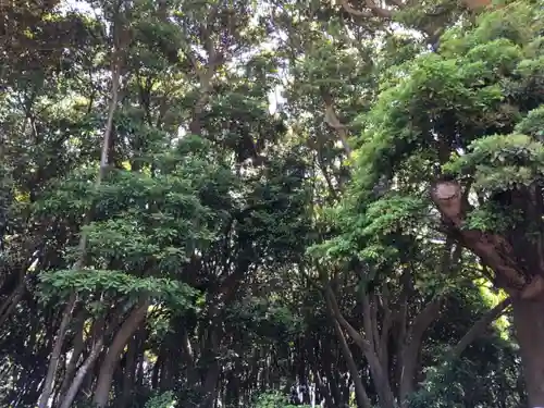 酒列磯前神社の自然