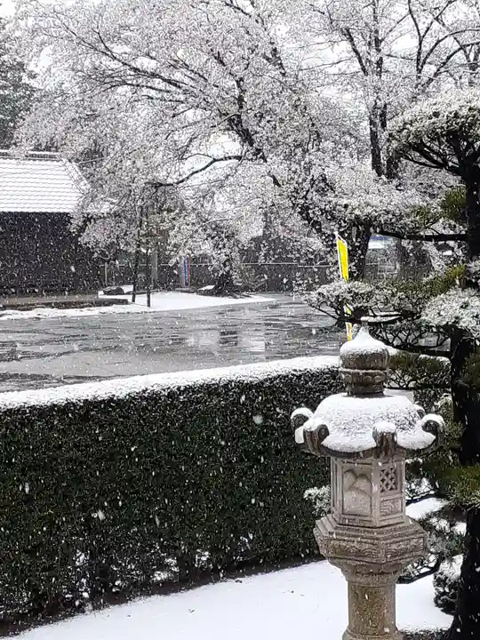伏木香取神社の自然
