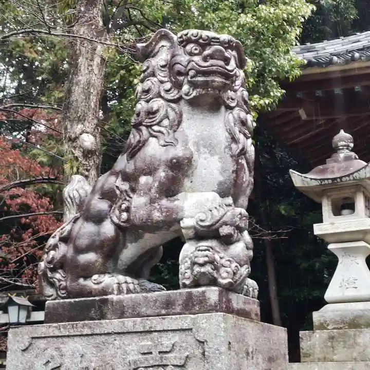 成石神社の狛犬