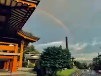 大雄院の自然