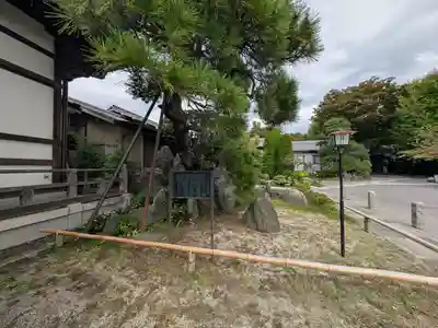 大蓮寺(千葉県)