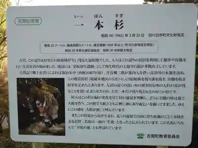 一本杉神社(島根県)