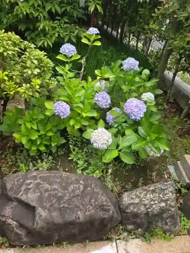 桜神宮(東京都)